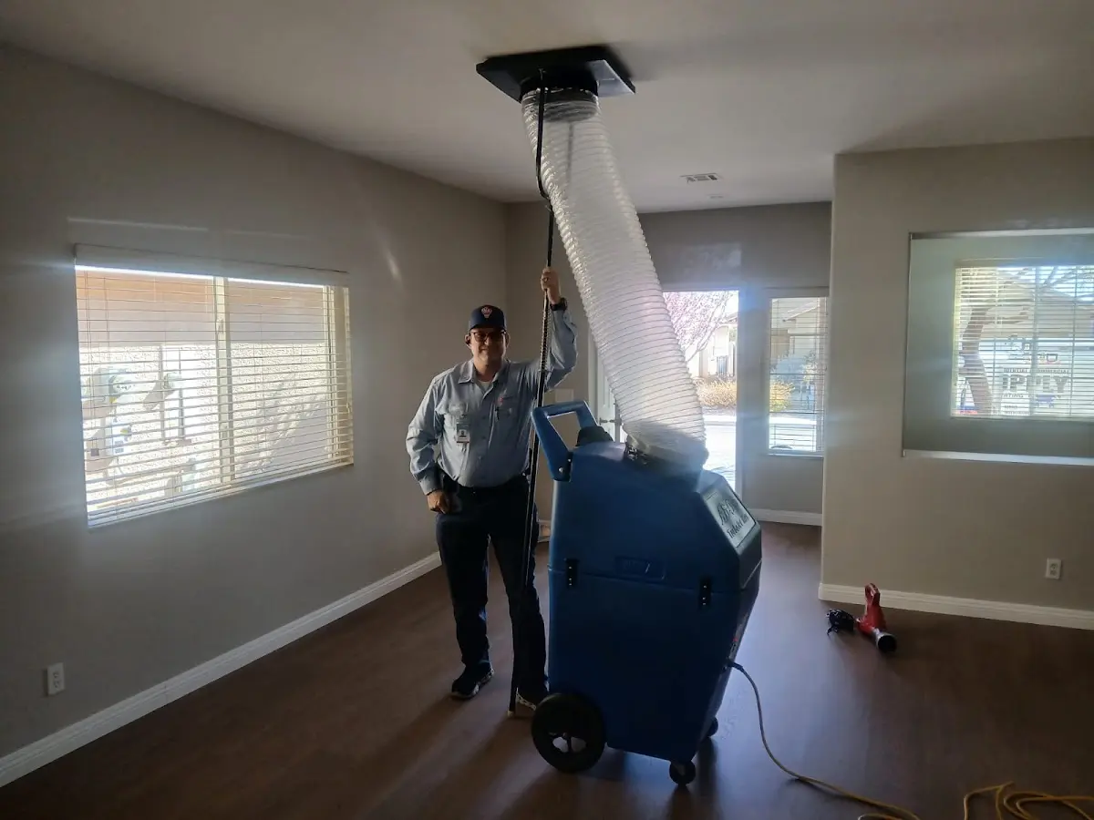 Professional Dryer Vent Cleaning work inside a Westport home